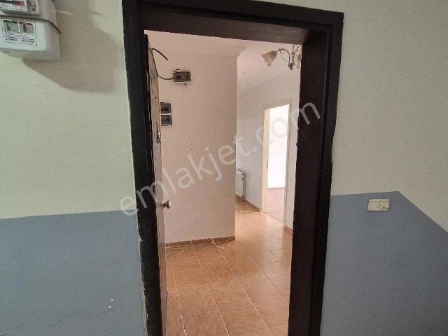 Odunpazari, Eskişehir içerisinde kiralık mülk