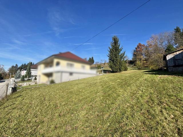 Immobilie kaufen in Steinhaus, Oberösterreich