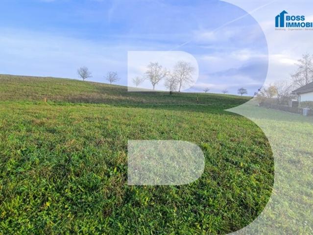 Grundstück kaufen in Oberndorf, St. Marien