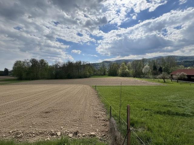 Grundstück kaufen in Stainz, Steiermark