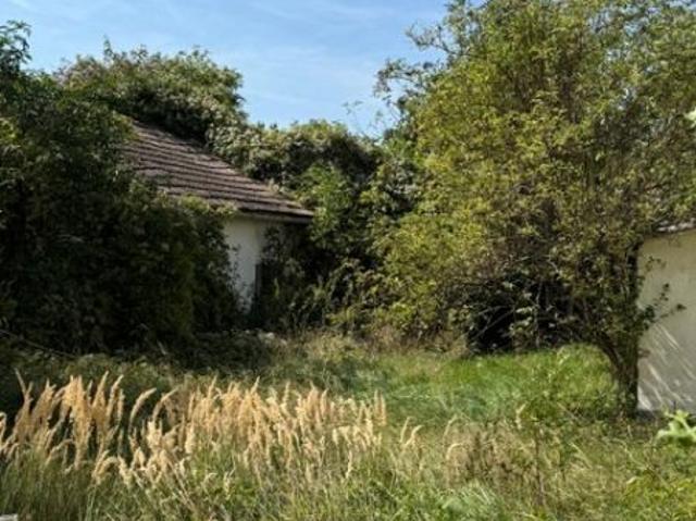 Grundstück kaufen in Lassee, Niederösterreich