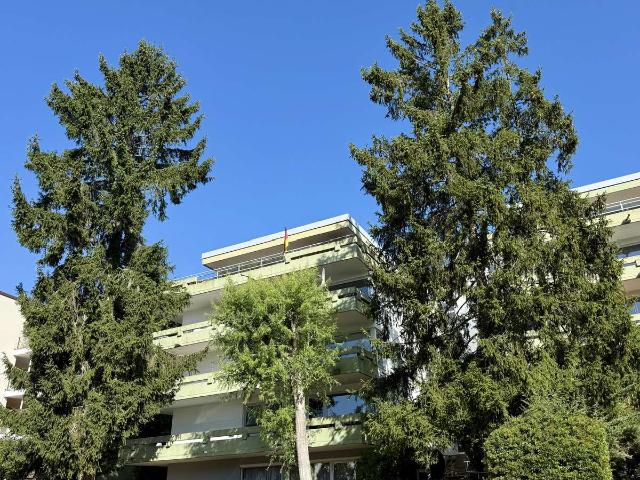 Wohnung kaufen in Falkenstein, Donnersbergkreis