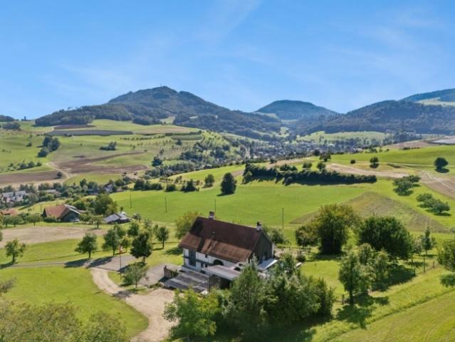 Haus kaufen in Wölflinswil, Aargau