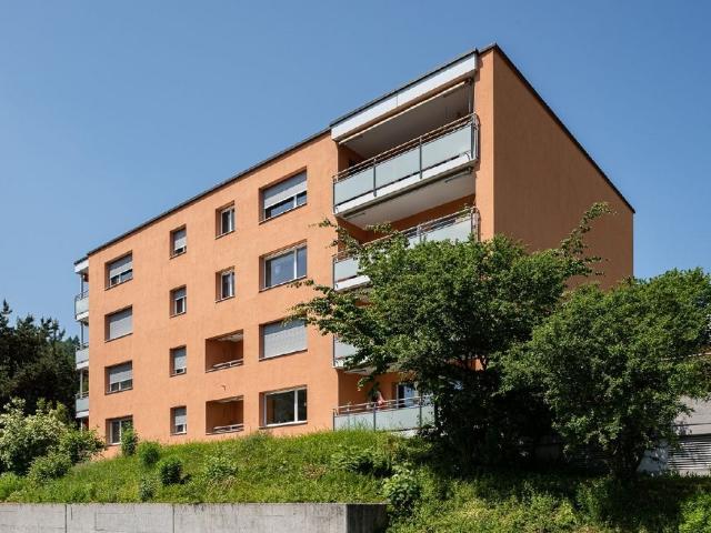 Wohnung mieten in Feuerthalen, Zürich