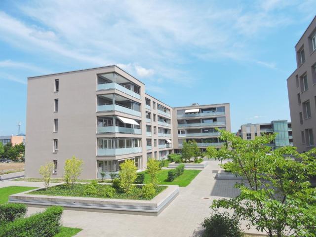 Apartment mieten in Rheinfelden, Aargau