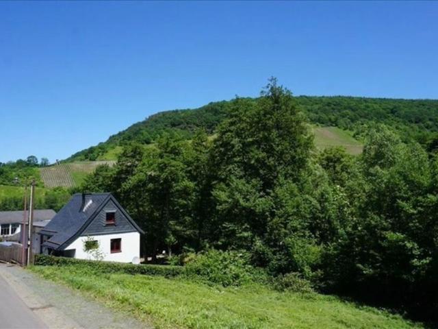 Erdgeschosswohnung kaufen in Traben-Trarbach, Rheinland-Pfalz
