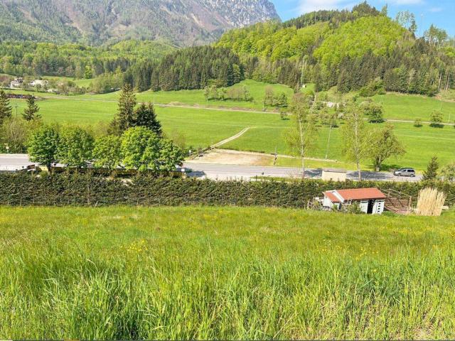 Immobilie kaufen in Micheldorf in Oberösterreich, Oberösterreich