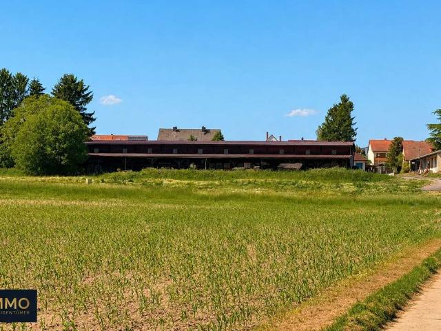 Erdgeschosswohnung kaufen in Steinfeld, Kreis Schleswig-Flensburg