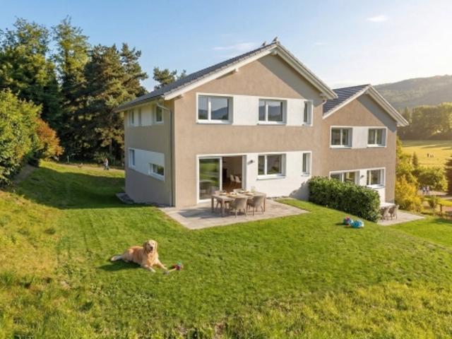 Einfamilienhaus kaufen in Combremont-Petit, Waadt