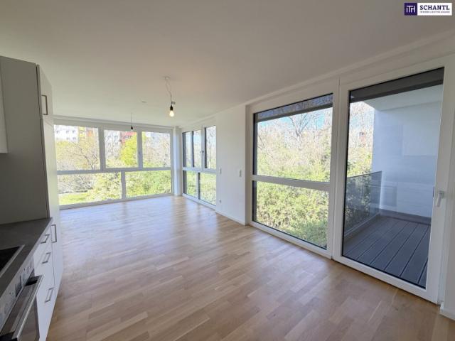 Wohnung kaufen in Donaustadt, Wien