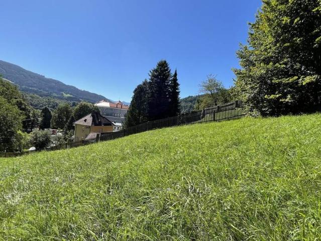 Grundstück kaufen in Edling, Spittal an der Drau