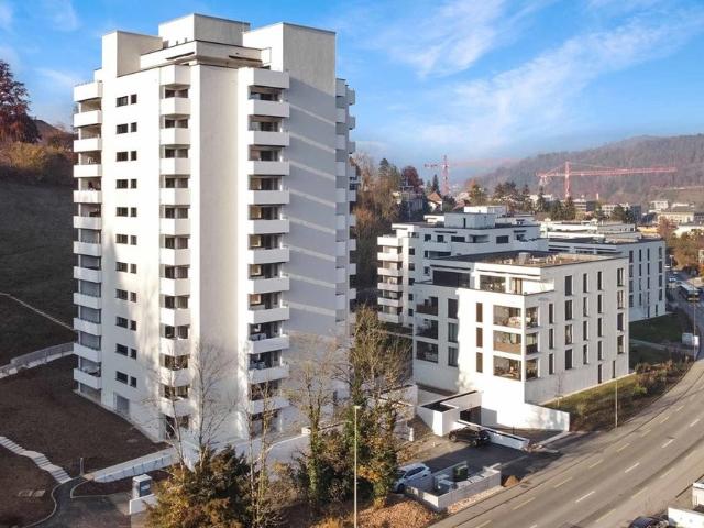 Wohnung mieten in Liestal, Bezirk Liestal