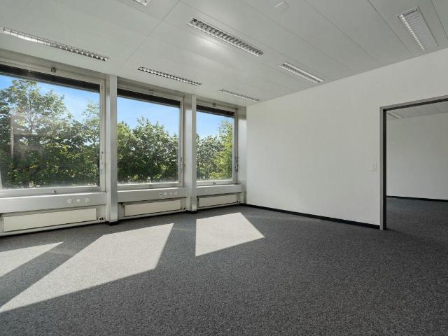 Immobilie kaufen in Bern