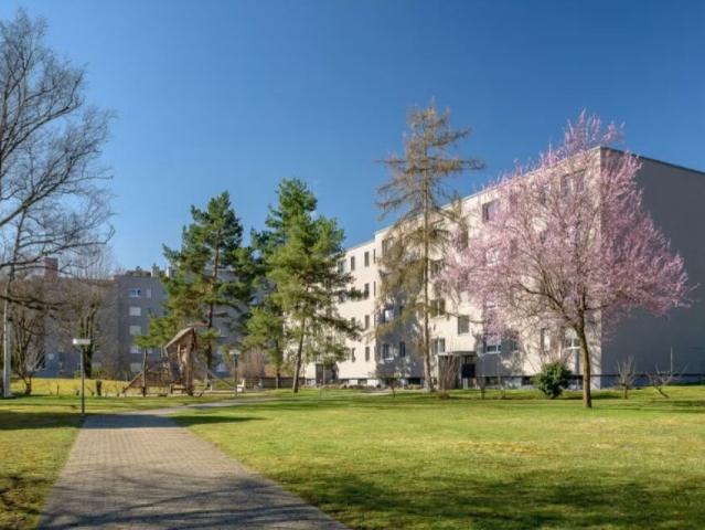 Immobilie mieten in Dornach, Solothurn