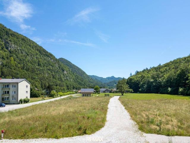 Immobilie kaufen in Grünau im Almtal, Oberösterreich