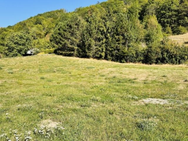 Grundstück kaufen in Gloggnitz, Niederösterreich