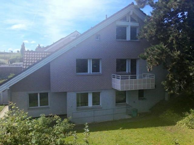 Einfamilienhaus kaufen in Rudolfstetten, Aargau