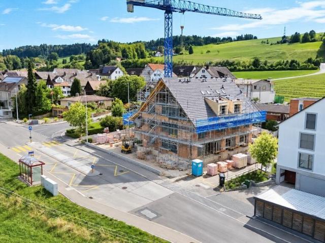 Haus kaufen in Horgen, Bezirk Horgen