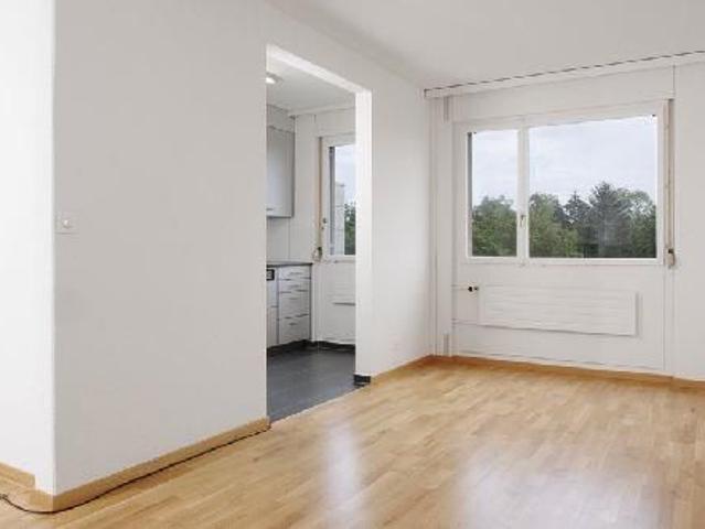 Apartment mieten in Sandacher, Greifensee