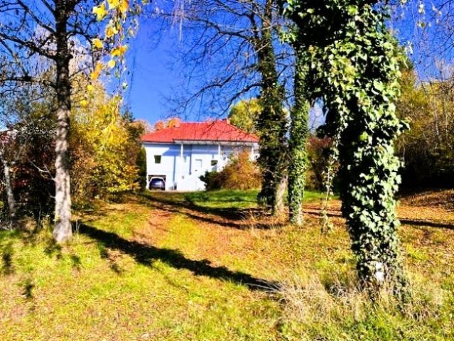 Einfamilienhaus kaufen in Stegersbach, Burgenland