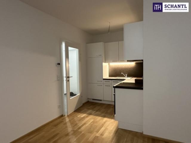 Wohnung mieten in Gersdorf-Feistritz, Steiermark