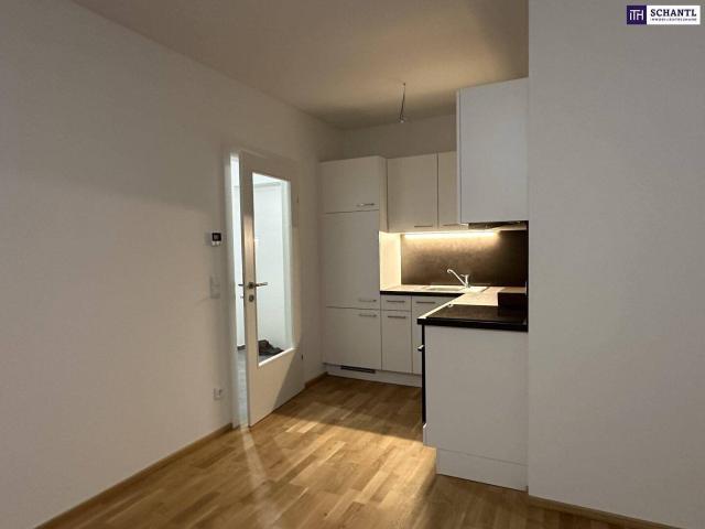 Apartment mieten in Kleinsulz, Steiermark