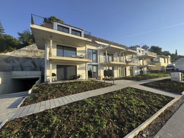Wohnung mieten in Oberbuchsiten, Solothurn