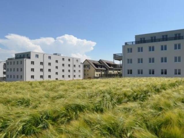 Apartment mieten in Köniz, Bern