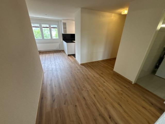 Apartment mieten in Bitzi, Bischofszell