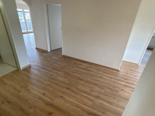 Apartment mieten in Bitzi, Bischofszell