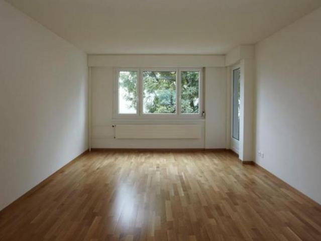 Apartment mieten in Nänikon, Uster