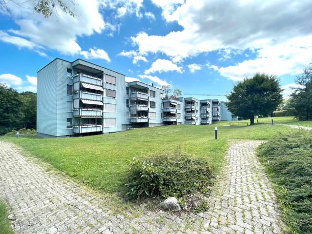 Apartment mieten in Adliswil, Zürich
