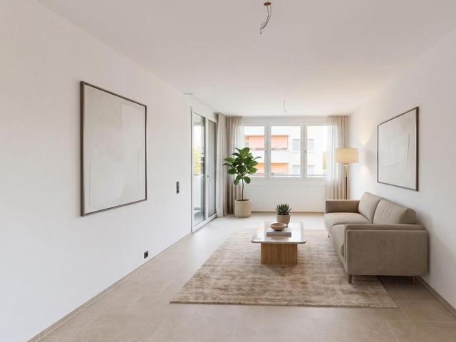 Apartment mieten in Blumenau, Winterthur