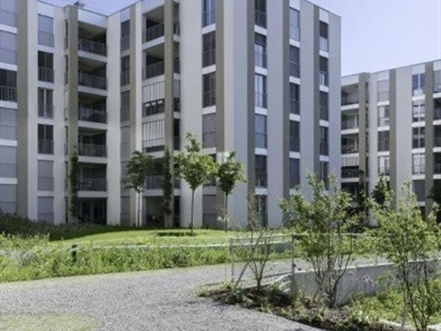 Wohnung mieten in Opfikon, Zürich