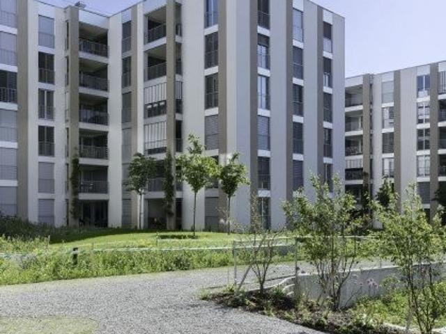 Wohnung mieten in Opfikon, Zürich