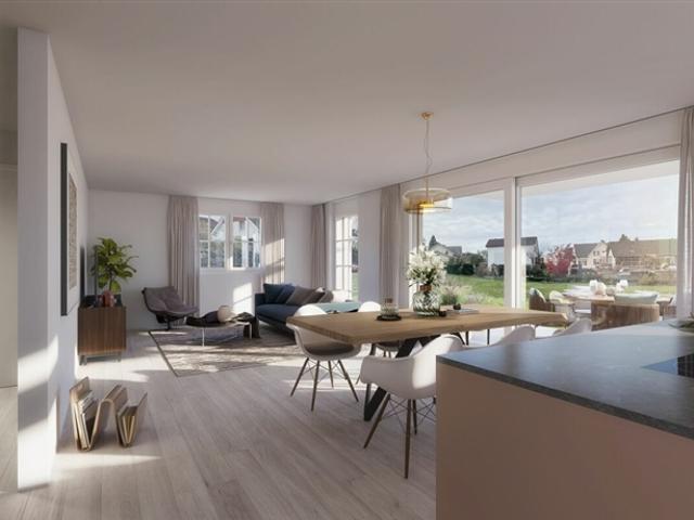 Reihenfamilienhaus kaufen in Pfyn, Thurgau
