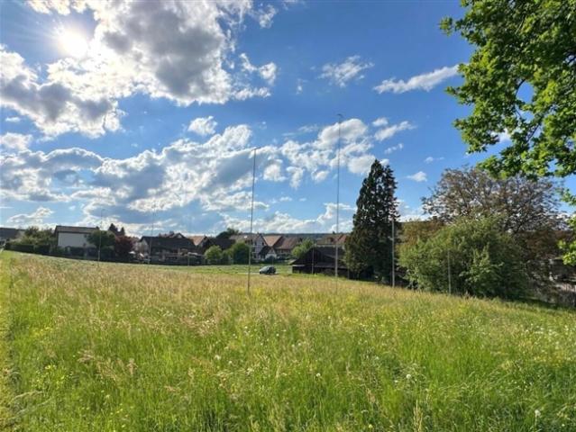 Einfamilienhaus kaufen in Pfyn, Thurgau
