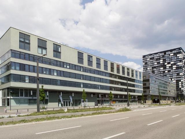 Wohnung mieten in Einigen, Zürich
