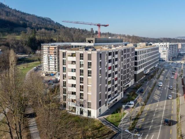 Apartment mieten in Wollishofen, Zürich