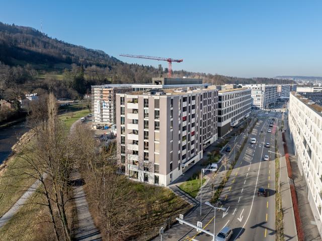Wohnung mieten in Wollishofen, Zürich