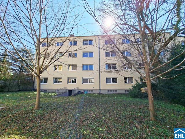 Apartment kaufen in Baden, Niederösterreich