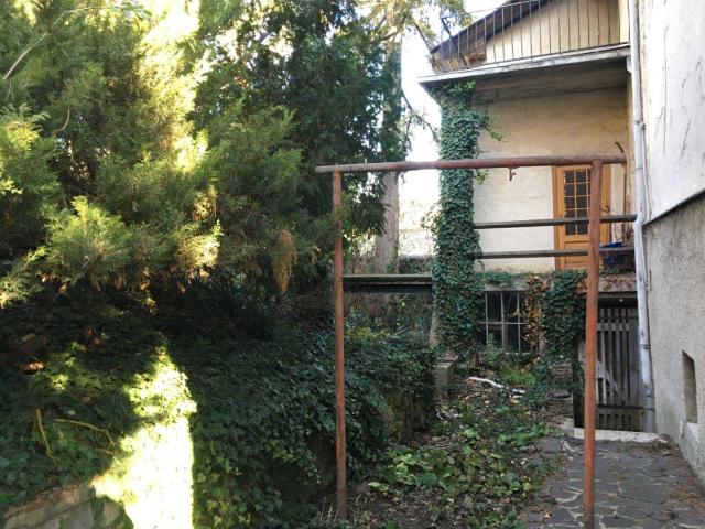 Haus kaufen in Bruck an der Leitha, Niederösterreich