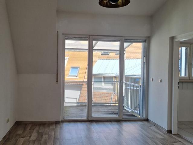 Apartment mieten in Freiberg, Sachsen