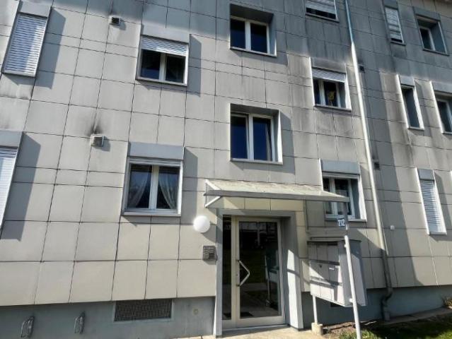 Apartment mieten in Einigen, Zürich