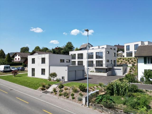 Reihenfamilienhaus kaufen in Striegel, Safenwil