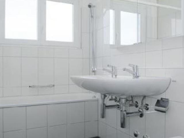 Apartment mieten in Sandacher, Greifensee