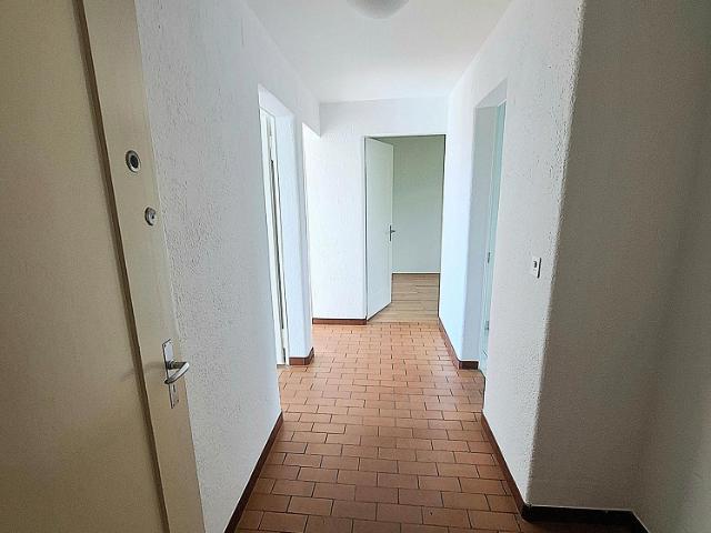Apartment mieten in Reussbühl, Luzern