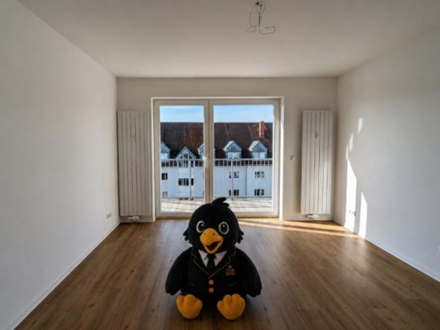 Wohnung mieten in Waldenburg, Sachsen