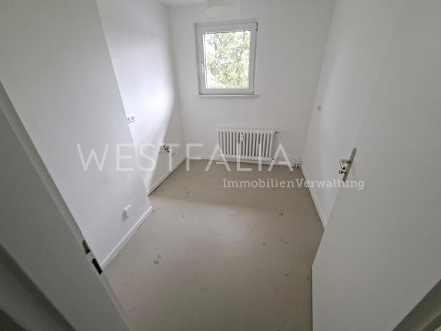 Apartment mieten in Duisburg-Mitte, Duisburg