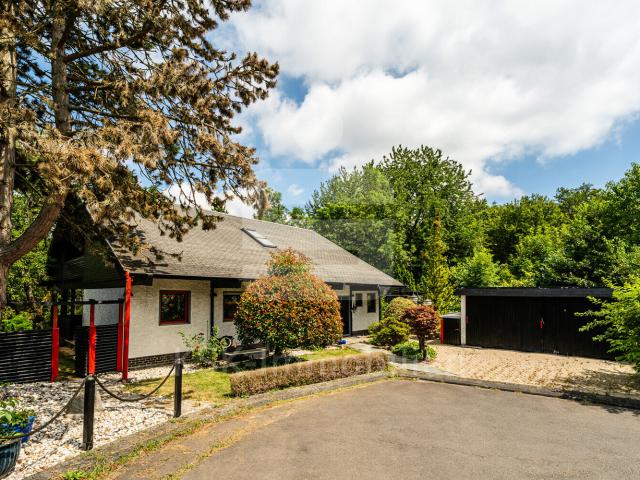Villa kaufen in Frohnen, Windhagen